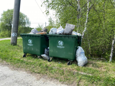 Мусорный коллапс: «ЭкоАльянс» переводит стрелки на подрядчиков