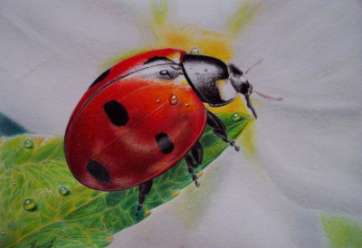 Бабродвиж в Красноярске: Мастер-класс «Маяк», спектакль «Мнимый больной» и час фольклора «В гостях у самовара»